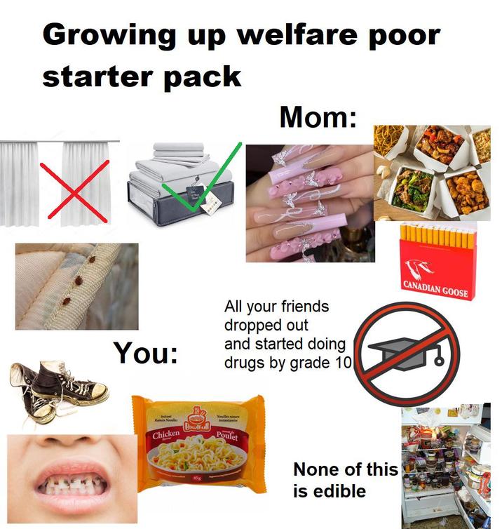 Growing up welfare poor starter pack Х You: 2000 Mom: All your friends dropped out and started doing drugs by grade 10 Instant Ramen Noodles Chicken Bowlfull Nouilles rames Instantanées Poulet None of this is edible CANADIAN GOOSE