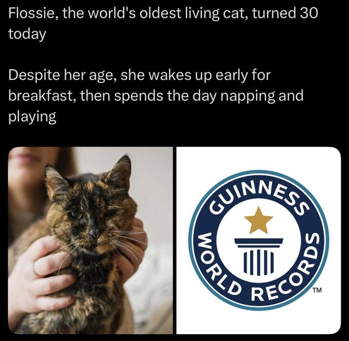 Flossie, the world's oldest living cat, turned 30 today Despite her age, she wakes up early for breakfast, then spends the day napping and playing GUINNESS WORLD TM