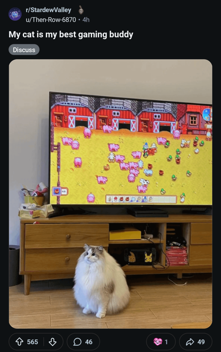 r/Stardew Valley u/Then-Row-6870 • 4h My cat is my best gaming buddy Discuss H 565 46 1 49