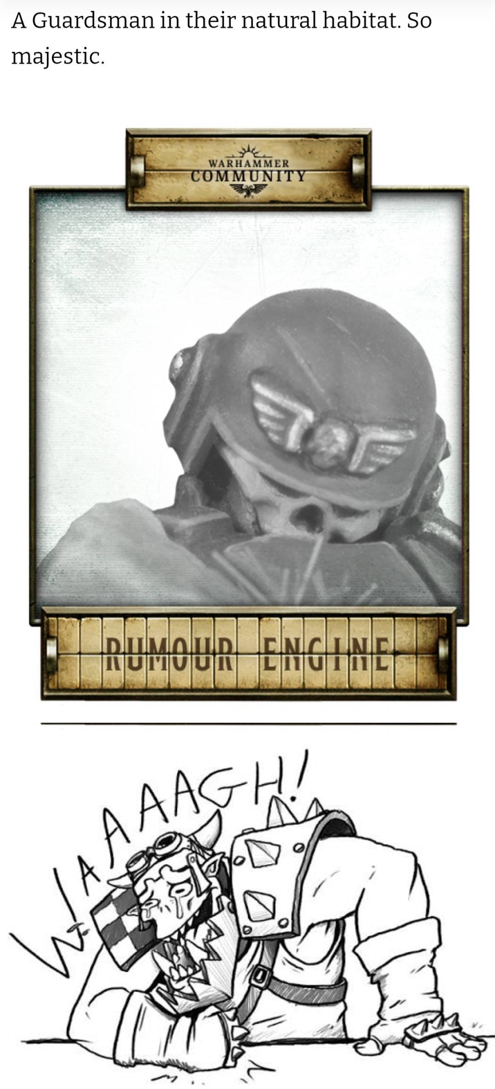 A Guardsman in their natural habitat. So majestic. WARHAMMER COMMUNITY RUMOUR ENGINE LAAAAGH!