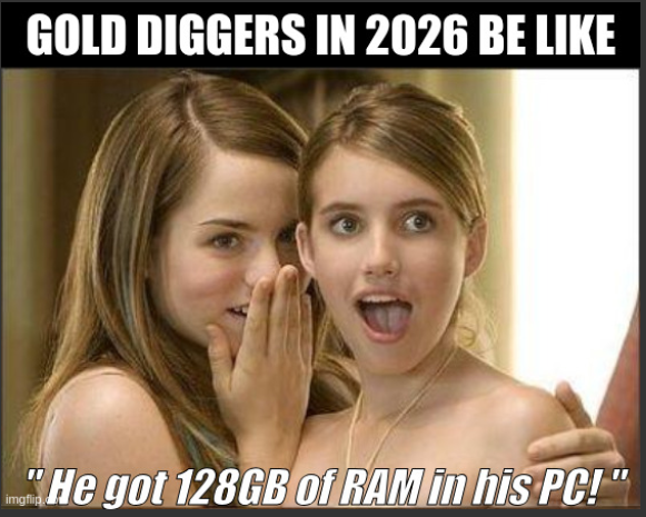 GOLD DIGGERS IN 2026 BE LIKE He got 128GB of RAM in his PC!"