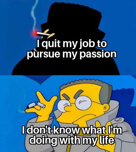 I quit my job to pursue my passion I don't know what I'm doing with my life