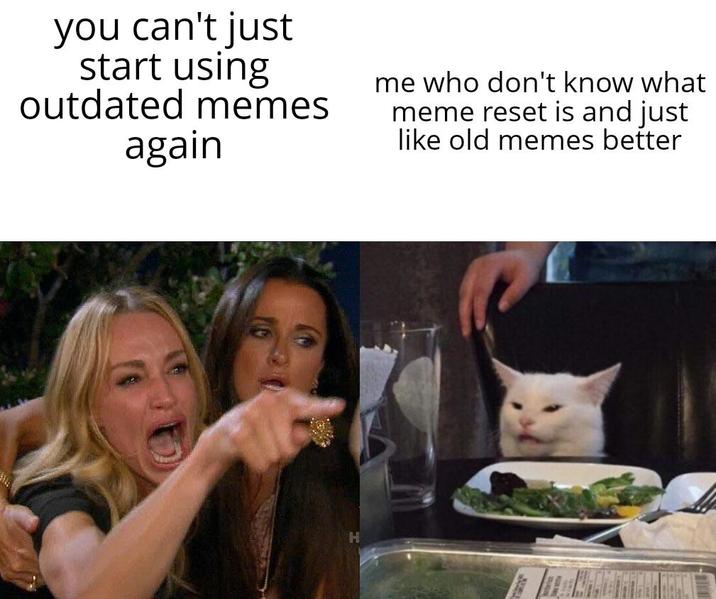 you can't just start using outdated memes again me who don't know what meme reset is and just like old memes better H