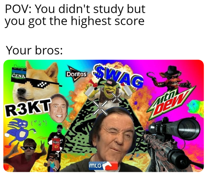 POV: You didn't study but you got the highest score Your bros: Doge CENA Doritos SWAG R3KT Dontos MLG