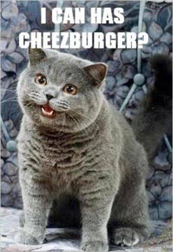 I CAN HAS CHEEZBURGER?
