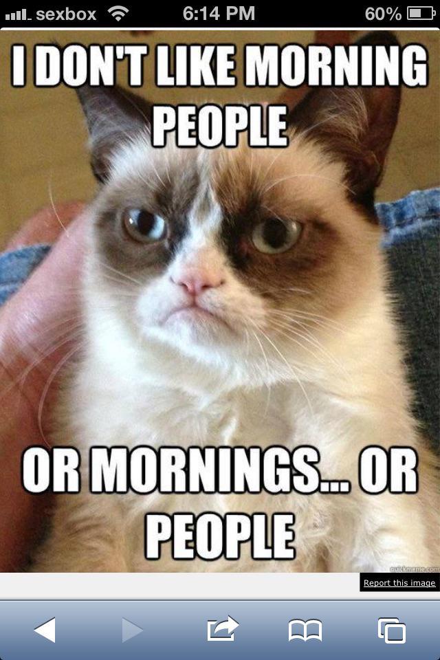 ■III. sexbox 6:14 PM 60% I DON'T LIKE MORNING PEOPLE OR MORNINGS... OR PEOPLE auttmans.com Report this image