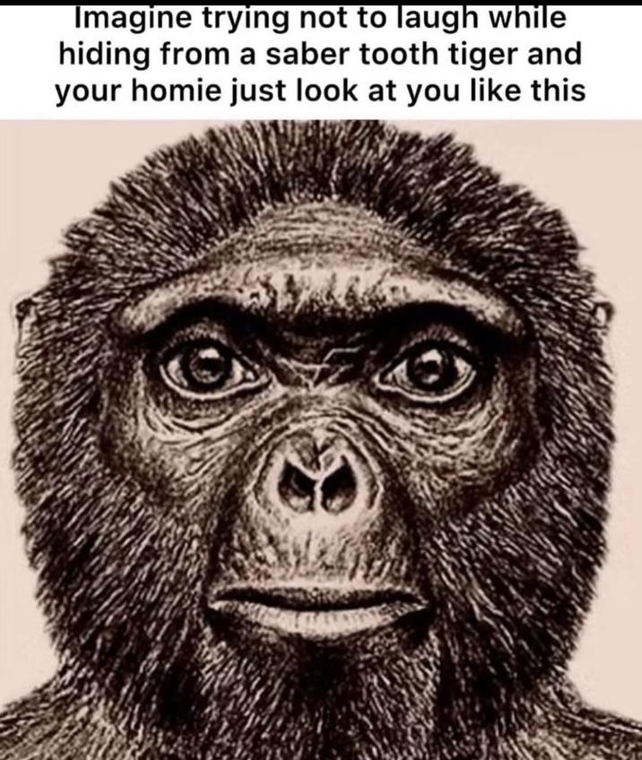 Imagine trying not to laugh while hiding from a saber tooth tiger and your homie just look at you like this