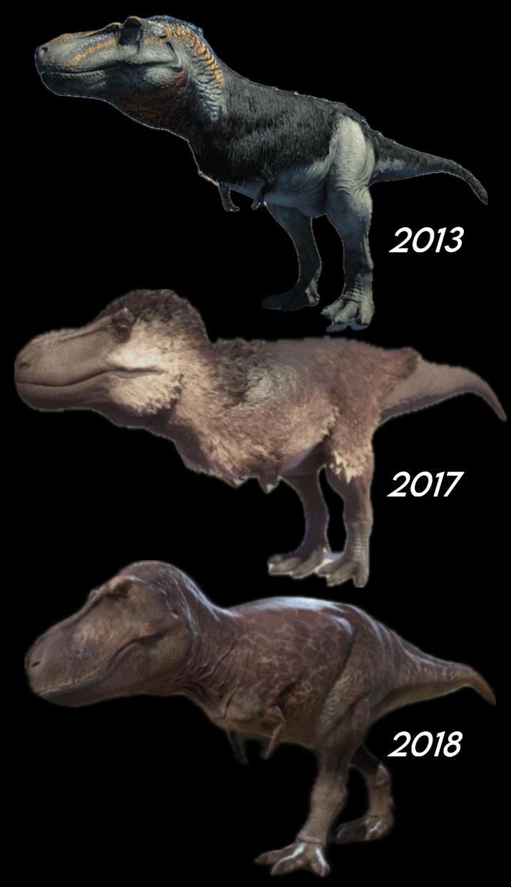 2013 2017 2018