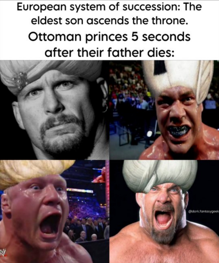 European system of succession: The eldest son ascends the throne. Ottoman princes 5 seconds after their father dies: MACHINE @dark.fantasygeek