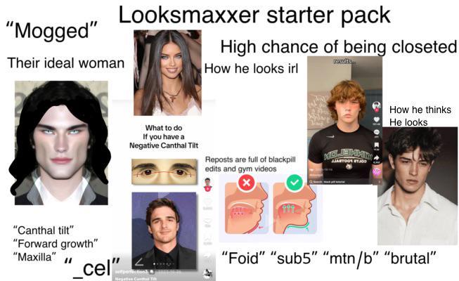 "Mogged" Their ideal woman Looksmaxxer starter pack High chance of being closeted How he looks irl What to do If you have a Negative Canthal Tilt Reposts are full of blackpill edits and gym videos "Canthal tilt" "Forward growth" "Maxilla" "_cel" perfection J How he thinks He looks "Foid" "sub5" "mtn/b" "brutal"