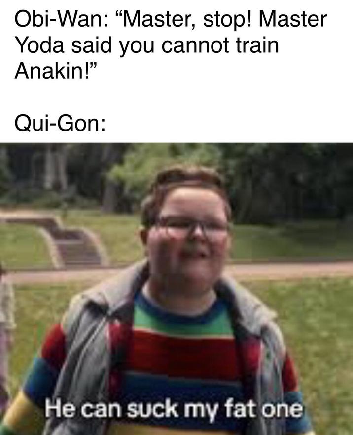 Obi-Wan: "Master, stop! Master Yoda said you cannot train Anakin!" Qui-Gon: He can suck my fat one