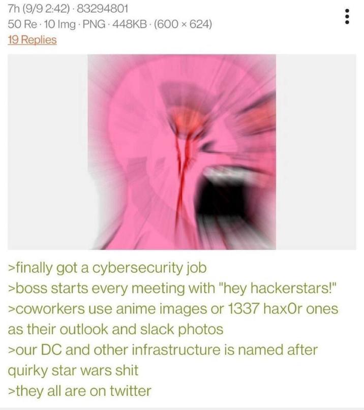 7h (9/9 2:42) 83294801 50 Re 10 Img PNG 448KB (600 × 624) 19 Replies >finally got a cybersecurity job >boss starts every meeting with "hey hackerstars!" >coworkers use anime images or 1337 haxor ones as their outlook and slack photos >our DC and other infrastructure is named after quirky star wars s--- >they all are on twitter