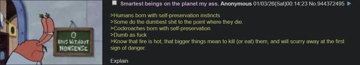0 DAYS WITHOUT NONSENSE Smartest beings on the planet my ass. Anonymous 01/03/26(Sat)00:14:23 No.944372495 >Humans born with self-preservation instincts >Some do the dumbest s--- to the point where they die. >Cockroaches born with self-preservation >Dumb as f--- >Know that fire is hot, that bigger things mean to kill (or eat) them, and will scurry away at the first sign of danger. Explain