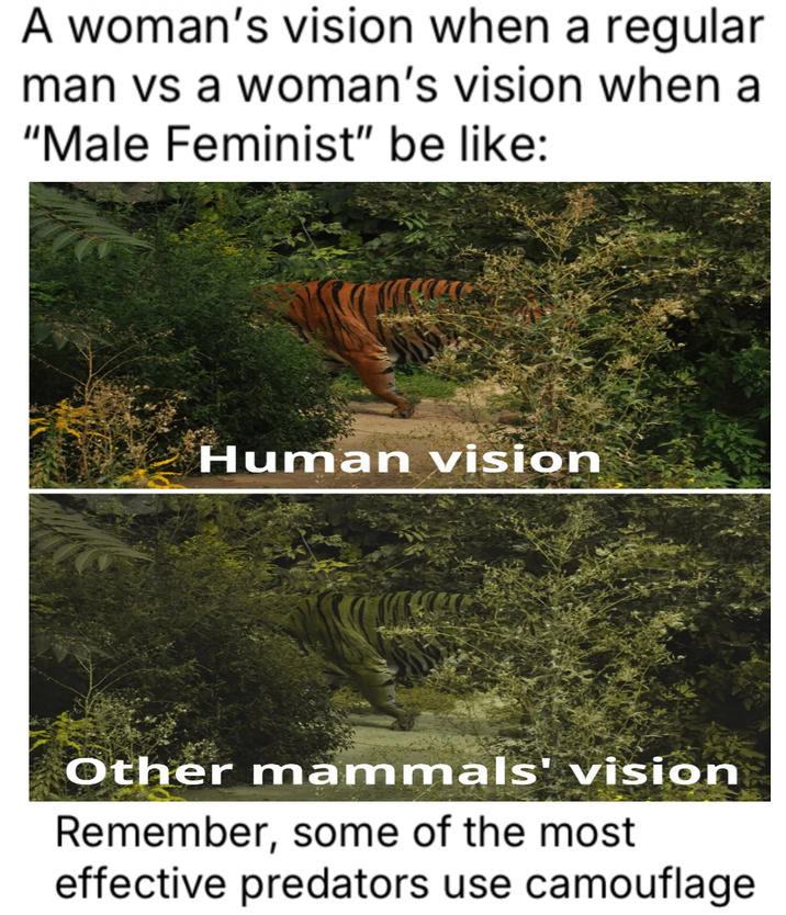 A woman's vision when a regular man vs a woman's vision when a "Male Feminist" be like: Human vision Other mammals' vision Remember, some of the most effective predators use camouflage