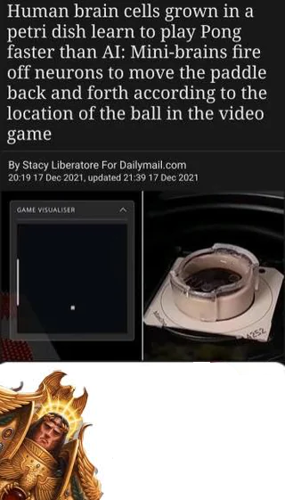 Human brain cells grown in a petri dish learn to play Pong faster than AI: Mini-brains fire off neurons to move the paddle back and forth according to the location of the ball in the video game By Stacy Liberatore For Dailymail.com 20:19 17 Dec 2021, updated 21:39 17 Dec 2021 GAME VISUALISER 4252