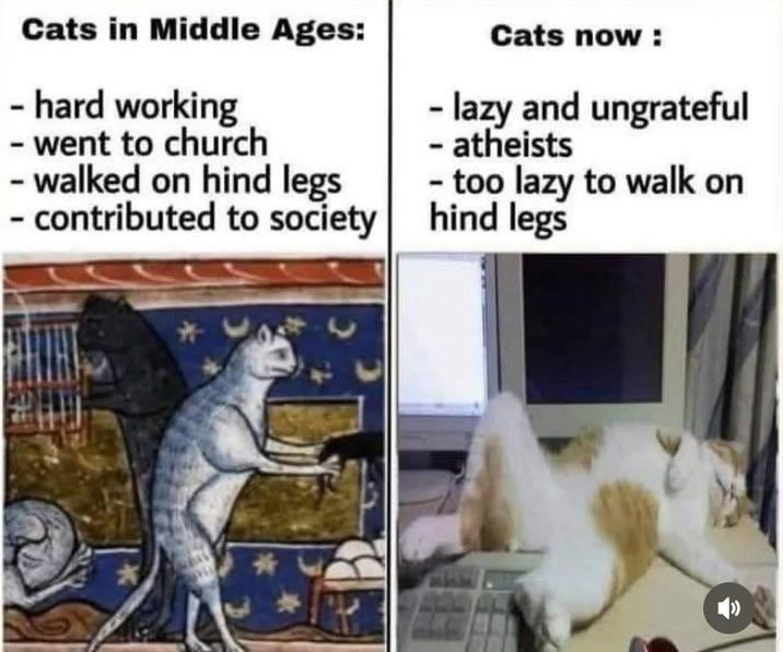 Cats in Middle Ages: - hard working - went to church - walked on hind legs - contributed to society Cats now: - lazy and ungrateful - atheists too lazy to walk on hind legs