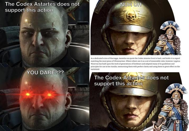 The Codex Astartes does not support this action NUH UH YOU DARE??? As a dedicated scion of Macragge, Aemelia can quote the Codex Astartes front to back, and holds it in regard matching the most pious of Ultramarines. Where others see it as a set of immovable rules, however, Legatus Minervas has built upon the work of generations of forebears and adapted many of its guidelines and principles for use in her Auxilia, memorising them with perfect clarity and using them to great effect on the I battlefield. The Codex Astartes does not support this action
