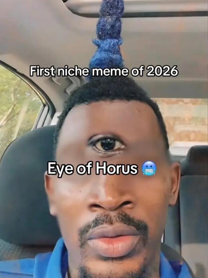 The Eye of Horus meme, a variant of the "Eye of Rah":https://knowyourmeme.com/memes/eye-of-rah meme, which depicts TikToker kingshiphorus with one eye and a single, upright blue dreadlock.