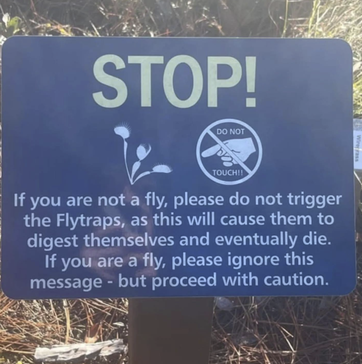 STOP! DO NOT Wiregrass TOUCH!! If you are not a fly, please do not trigger the Flytraps, as this will cause them to digest themselves and eventually die. If you are a fly, please ignore this message - but proceed with caution.