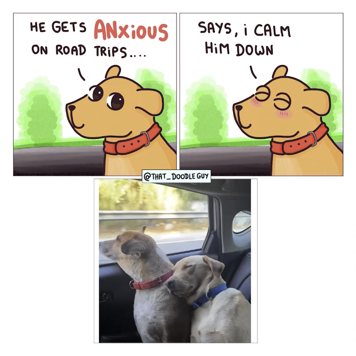 HE GETS ANXIOUS ON ROAD TRIPS.... SAYS, i CALM HIM DOWN @THAT DOODLE GUY *