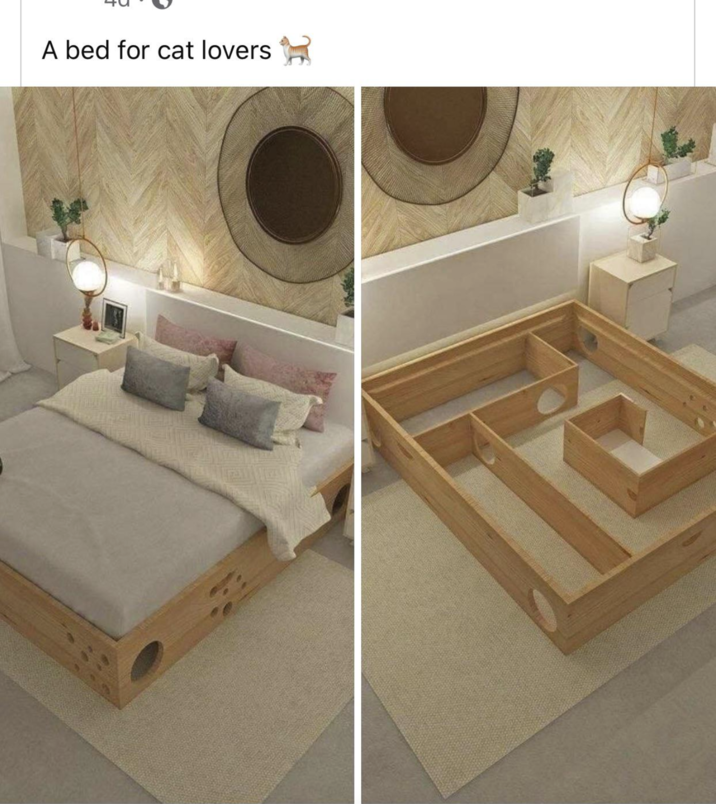 A bed for cat lovers
