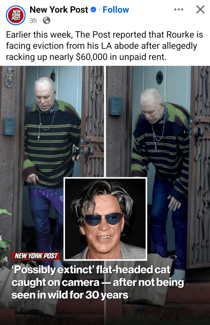 NEW YORK New York Post ❤ Follow • POST 3h . Earlier this week, The Post reported that Rourke is facing eviction from his LA abode after allegedly racking up nearly $60,000 in unpaid rent. NEW YORK POST 'Possibly extinct' flat-headed cat caught on camera - after not being seen in wild for 30 years