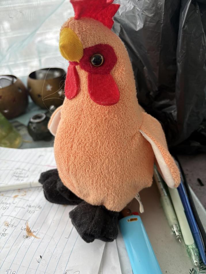 1152 Hamite tekster Leilaw 1899 BIC