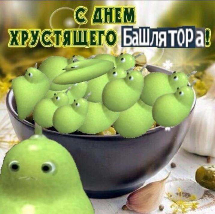 CAHEM ХРУСТЯЩЕГО БАшлятора!