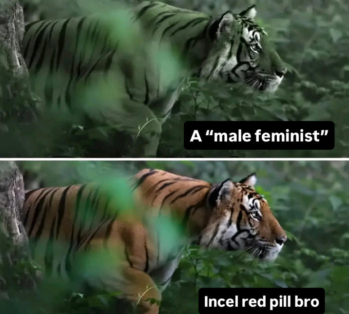 A "male feminist" Incel red pill bro