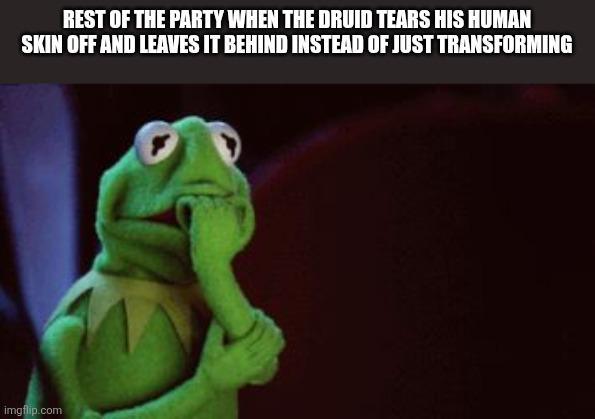 REST OF THE PARTY WHEN THE DRUID TEARS HIS HUMAN SKIN OFF AND LEAVES IT BEHIND INSTEAD OF JUST TRANSFORMING imgflip.com