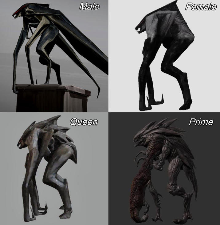 Male Female Queen Prime