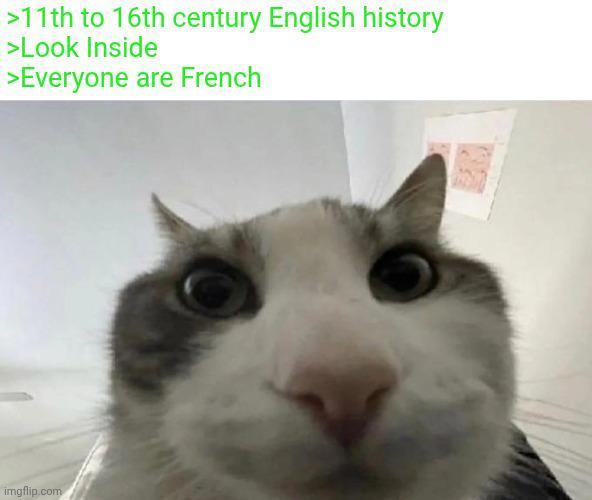 >11th to 16th century English history >Look Inside >Everyone are French imgflip.com