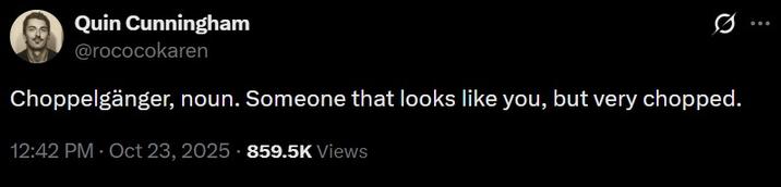 Quin Cunningham @rococokaren Choppelgänger, noun. Someone that looks like you, but very chopped. 12:42 PM - Oct 23, 2025 859.5K Views
