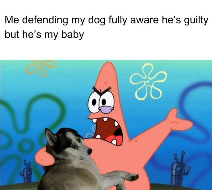Me defending my dog fully aware he's guilty but he's my baby