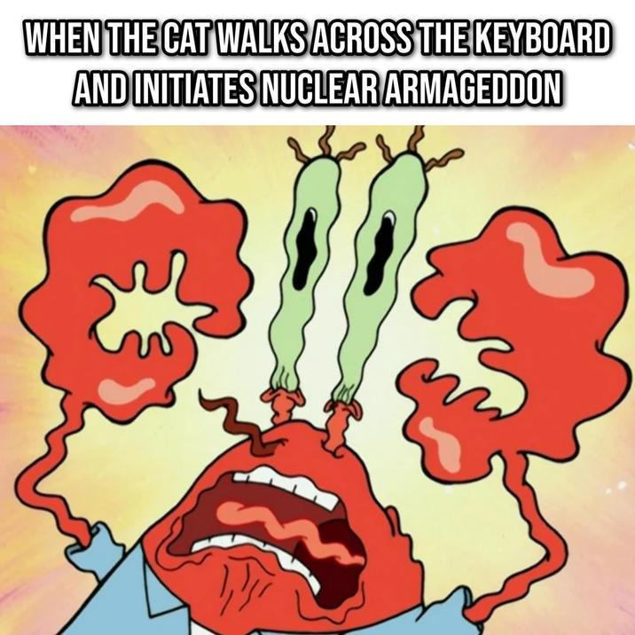 WHEN THE CAT WALKS ACROSS THE KEYBOARD AND INITIATES NUCLEAR ARMAGEDDON
