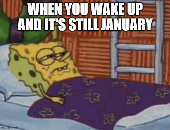 imgilip.com WHEN YOU WAKE UP AND IT'S STILL JANUARY + 33 節