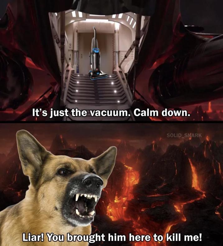 It's just the vacuum. Calm down. SOLID SNARK Liar! You brought him here to kill me!