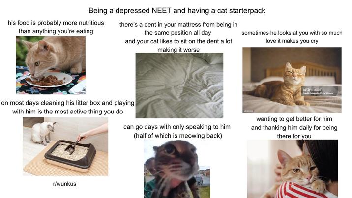 Being a depressed NEET and having a cat starterpack his food is probably more nutritious than anything you're eating there's a dent in your mattress from being in the same position all day and your cat likes to sit on the dent a lot making it worse sometimes he looks at you with so much love it makes you cry gettyimages Credit: Image by Chris Winsor on most days cleaning his litter box and playing with him is the most active thing you do can go days with only speaking to him (half of which is meowing back) 629219532 wanting to get better for him and thanking him daily for being there for you r/wunkus