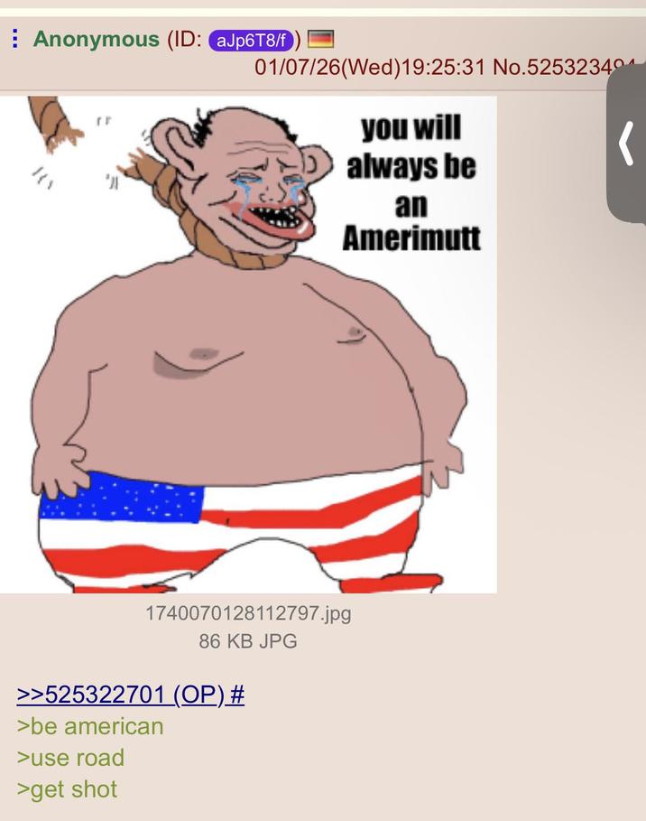 Anonymous (ID: aJp6T8/f }{、 01/07/26(Wed)19:25:31 No.52532340 you will always be an Amerimutt 1740070128112797.jpg 86 KB JPG >>525322701 (OP) # >be american >use road >get shot
