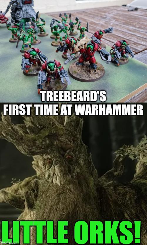 TREEBEARD'S FIRST TIME AT WARHAMMER LITTLE ORKS!