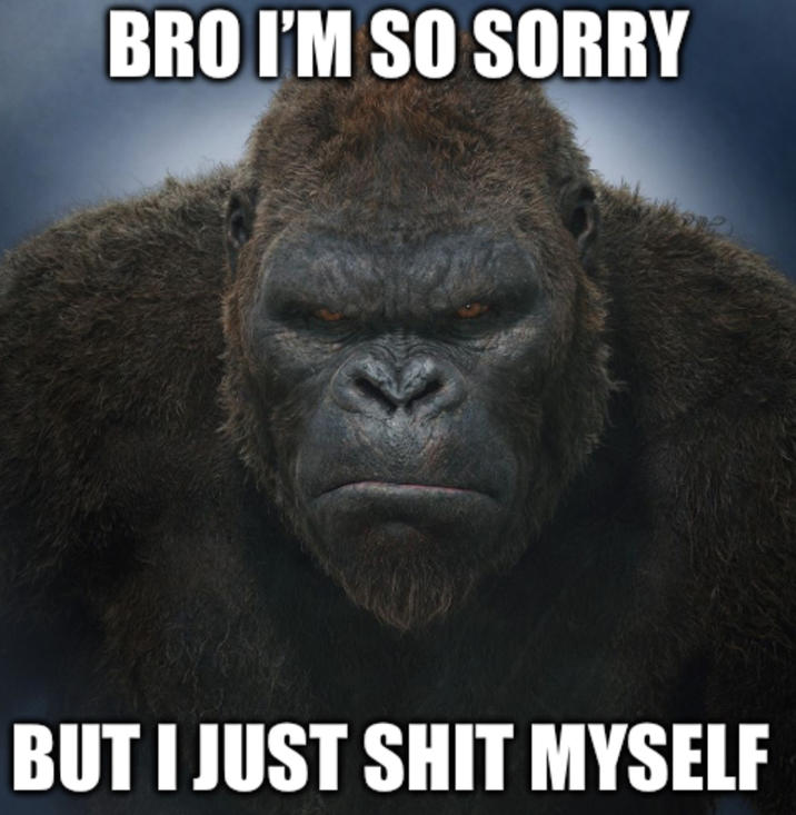 BRO I'M SO SORRY BUT I JUST S--- MYSELF