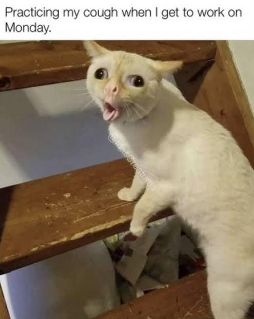 Practicing my cough when I get to work on Monday. @ldasCreatures