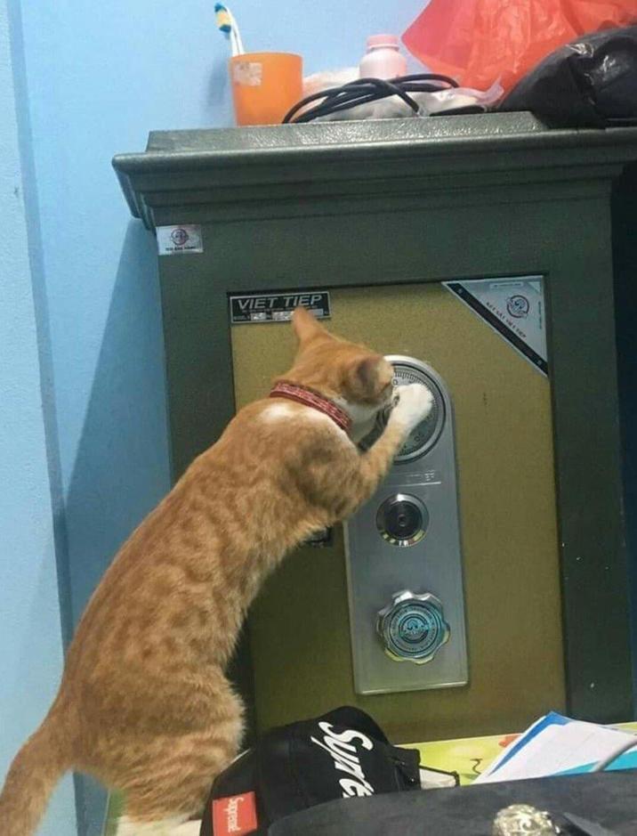 VIẾT TIẾP G Sure