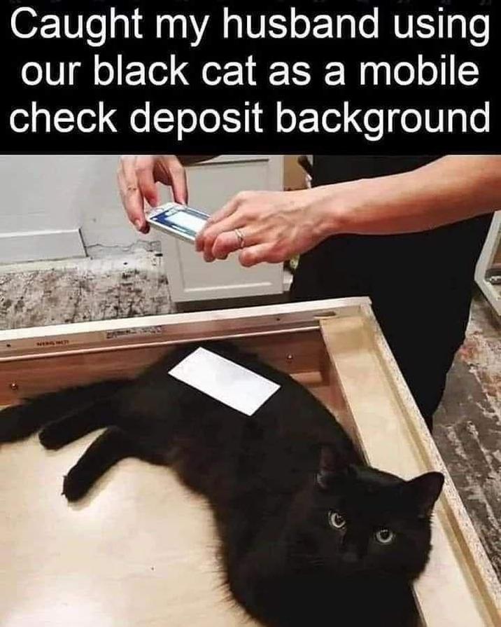 Caught my husband using our black cat as a mobile check deposit background