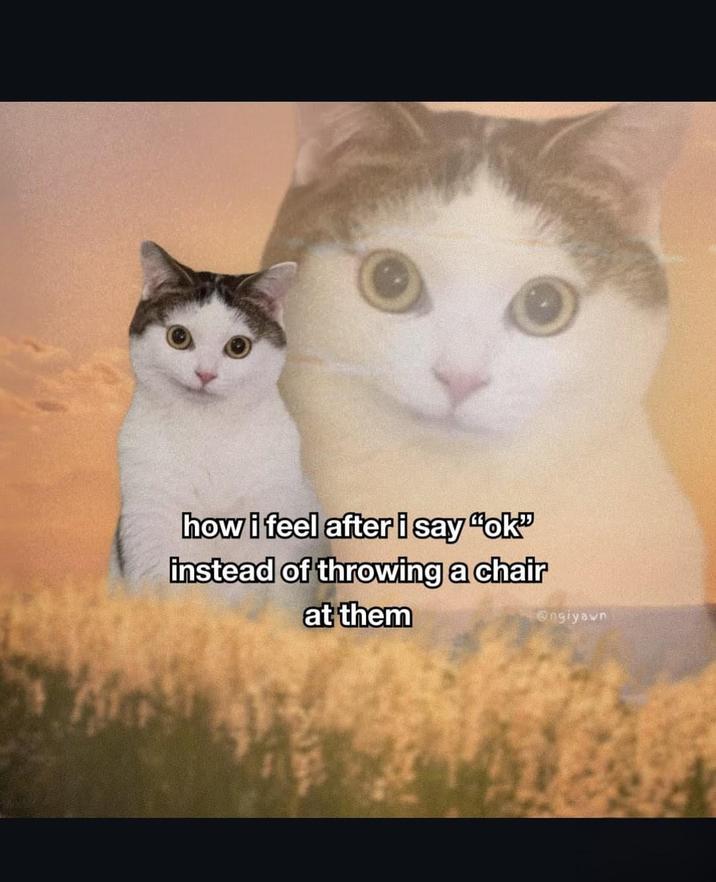 how i feel after i say "ok" instead of throwing a chair at them @ngiyawn