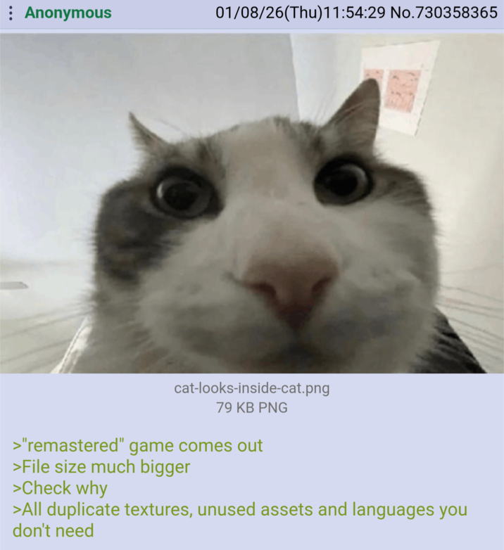 : Anonymous 01/08/26(Thu)11:54:29 No.730358365 cat-looks-inside-cat.png 79 KB PNG >"remastered" game comes out >File size much bigger >Check why >All duplicate textures, unused assets and languages you don't need