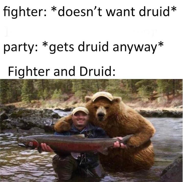 fighter: *doesn't want druid* party: *gets druid anyway* Fighter and Druid: 91