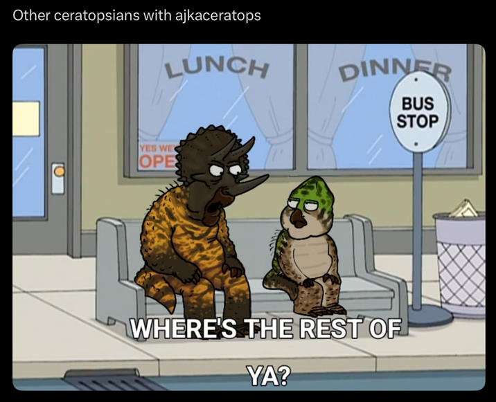 Other ceratopsians with ajkaceratops O YES WE OPE LUNCH DINNER BUS STOP WHERE'S THE REST OF YA?