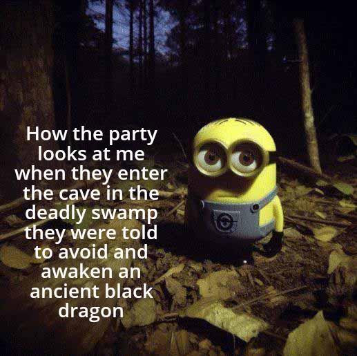 How the party looks at me when they enter the cave in the deadly swamp they were told to avoid and awaken an ancient black dragon