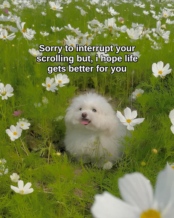 Sorry to interrupt your scrolling but, i hope life gets better for you